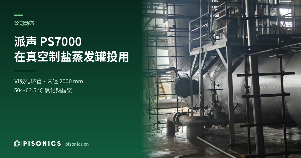 派声 PS7000 在真空制盐蒸发罐投用：DN2000 循环管上在线测晶浆浓度