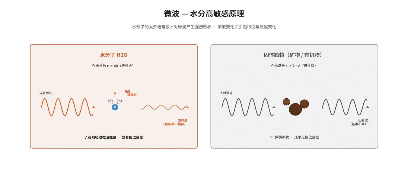 微波浓度 / 密度计